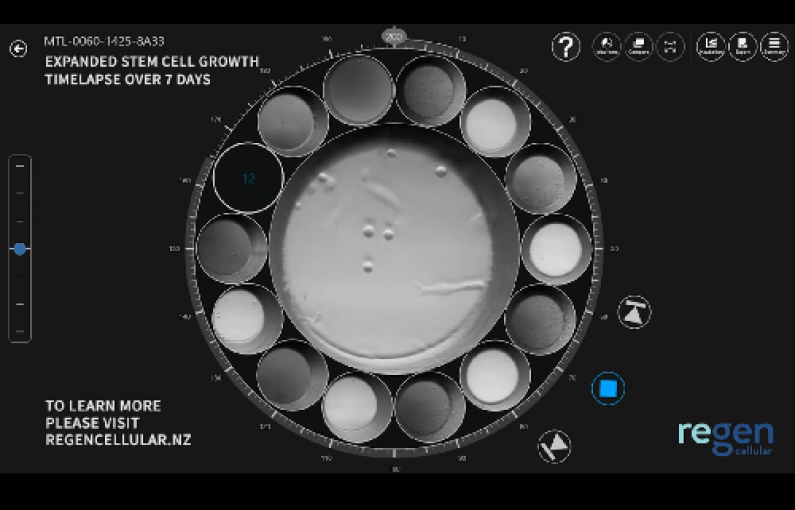 cells2